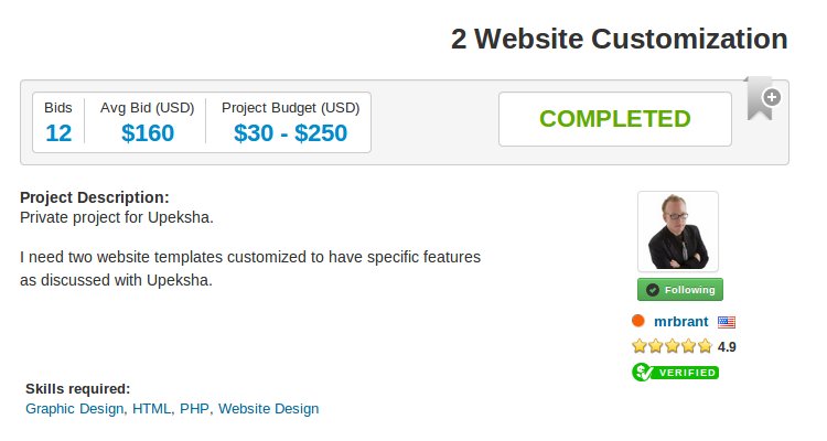Website Customization Project Description