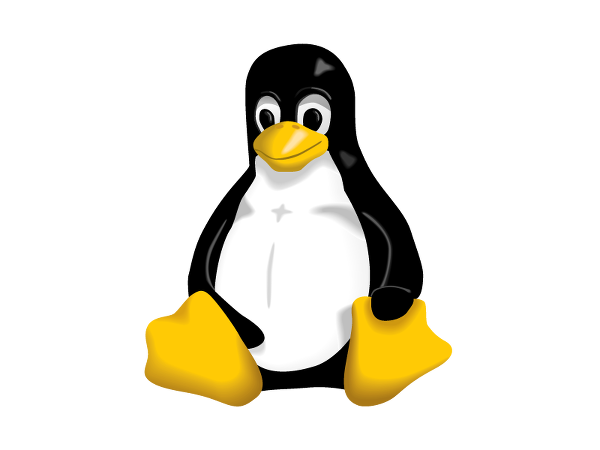 Linux Kernel